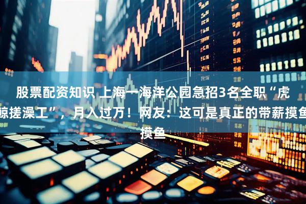 股票配资知识 上海一海洋公园急招3名全职“虎鲸搓澡工”，月入过万！网友：这可是真正的带薪摸鱼