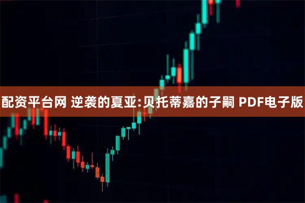 配资平台网 逆袭的夏亚:贝托蒂嘉的子嗣 PDF电子版