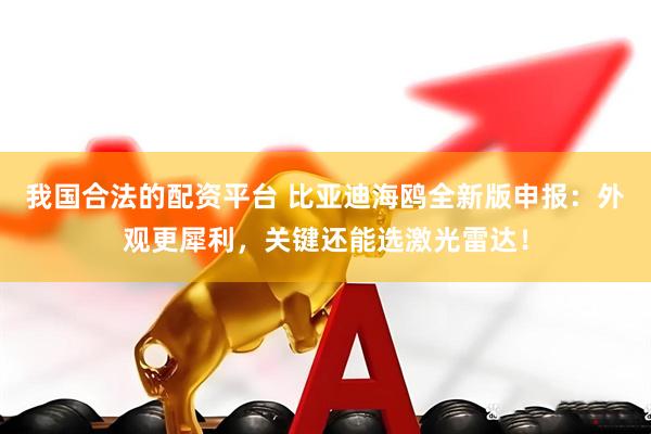 我国合法的配资平台 比亚迪海鸥全新版申报：外观更犀利，关键还能选激光雷达！