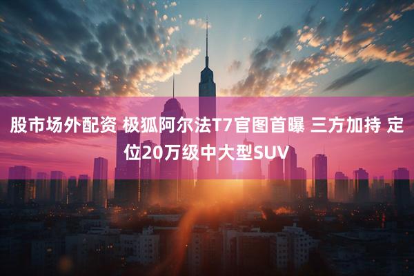 股市场外配资 极狐阿尔法T7官图首曝 三方加持 定位20万级中大型SUV
